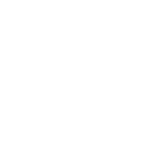 fixer belgium, Reliable Support for International Filmmakers and Journalists