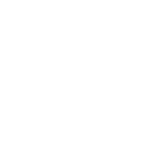fixer belgium, Reliable Support for International Filmmakers and Journalists